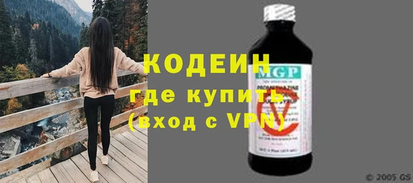 трава Няндома