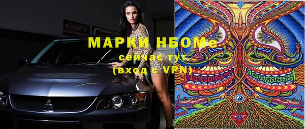 трава Няндома