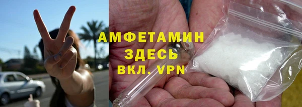 трава Няндома