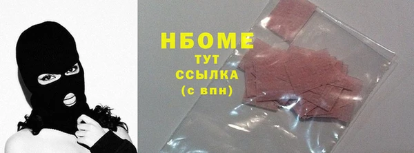 трава Няндома