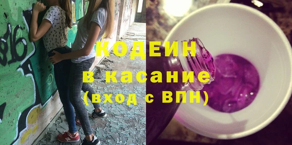 трава Няндома