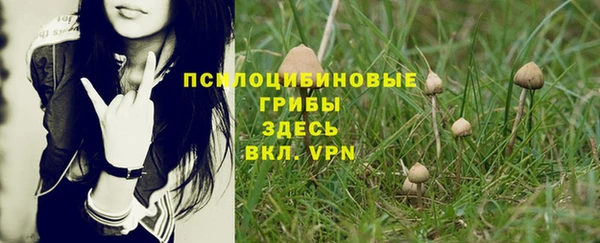ПСИЛОЦИБИНОВЫЕ ГРИБЫ Нягань
