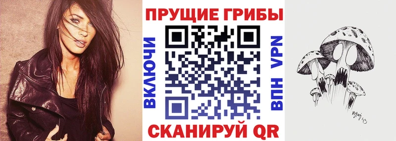 Псилоцибиновые грибы Psilocybe  купить наркотики сайты  Козельск 